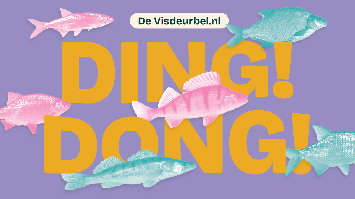 Vis Deurbel Season Update: New Species Join Utrecht's Canal Migration
